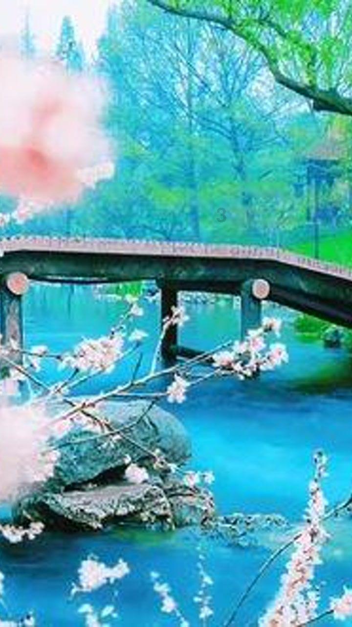 参与百度上线改名功能,你曾经的百度用户名是什么?有何深层次含意?知识星球,拓宽见识,共创精彩
